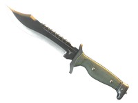 Bowie Knife