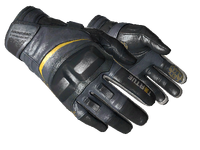 Motorcycle Gloves